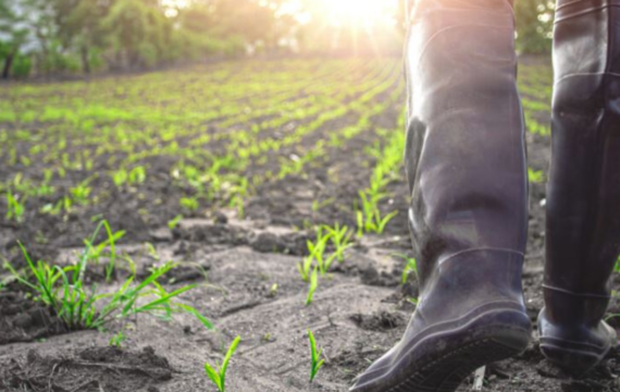 a farmer on his field, picture: Alina Pogoda