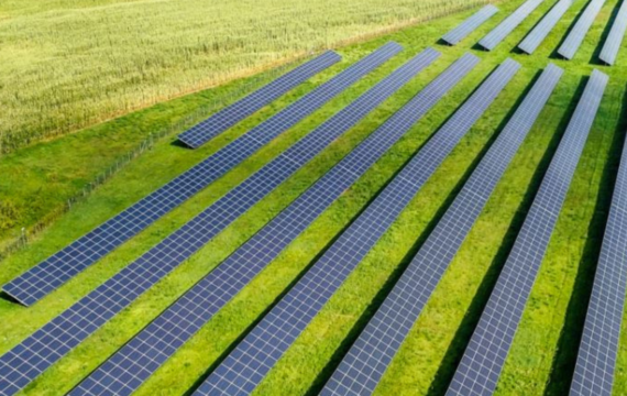 solar farm, picture: Alina Pogoda